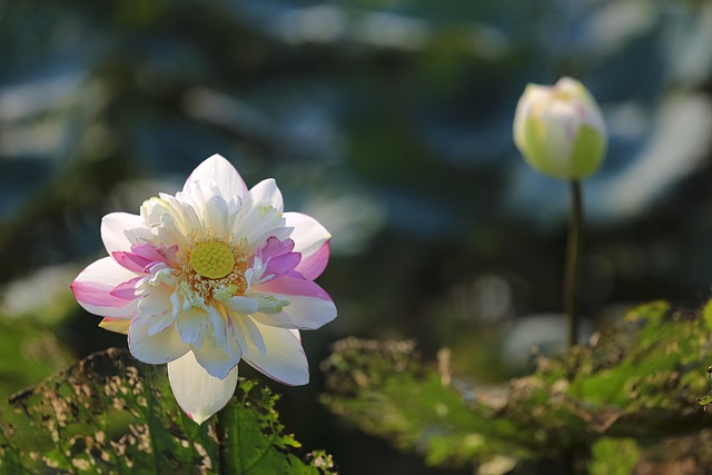 G29d141b5bbf7751d6f9ef9dc39032138c966ff931e30b618e94fa5bd1447539b827168a320f3fff9d78dba4c73aa9b900fd718d1b626f2ddc1952092b815775c 640